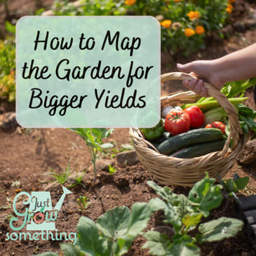 Getting More from the Garden: Succession Planting and Intercropping - Ep. 233