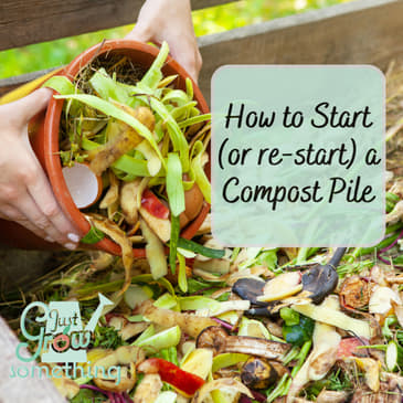 How to Start a Compost Pile - Ep. 242
