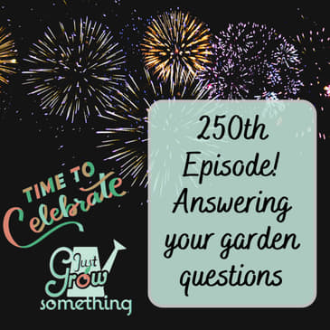 Potatoes, Transplants, Insect Netting, and More: Garden Q&amp;A for Episode 250