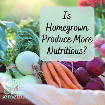 Is Homegrown Produce More Nutritious? How Your Soil Makes the Difference - Ep. 260
