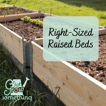 How Big Should a Raised Bed Be? - Ep. 265