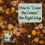 Leave the Leaves Strategically - Ep. 271