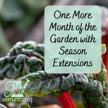 One More Month of Harvests - Ep. 274