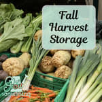 How to Store the Fall Harvest - Ep. 275