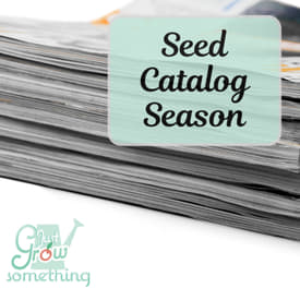 Seed Catalog Season - Ep. 280