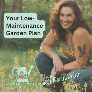 The Low Maintenance Garden Plan - Ep. 284