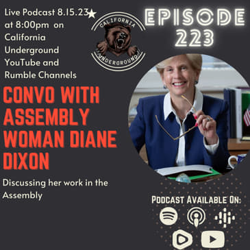 Episode 223 - Convo with Assemblywoman Diane Dixon