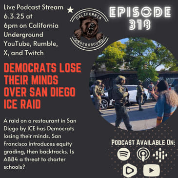 Democrats Lose Their Minds Over San Diego ICE Raid