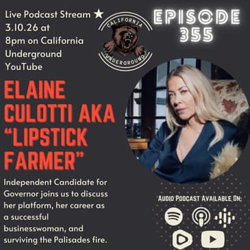 Don't Vote for Me, Vote for Us - Elaine Culotti Gubernatorial Candidate