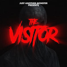 The Visitor