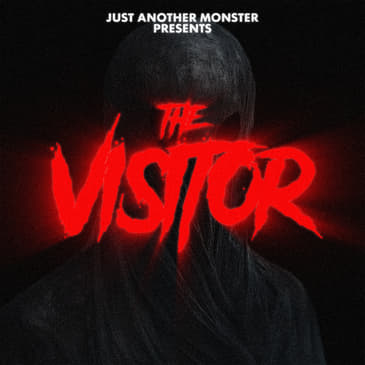 The Visitor