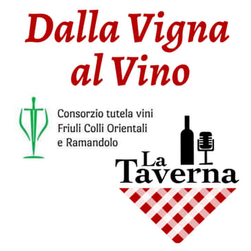 "Dalla Vigna al Vino" - 8a puntata - MALVASIA