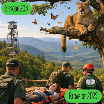 Episode 203 - Recap of 2025