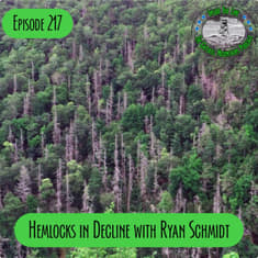 Episode 217 - Hemlocks in Decline with Ryan Schmidt
