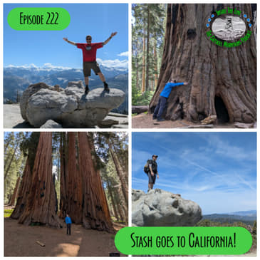 Episode 222 - Stash goes to California!
