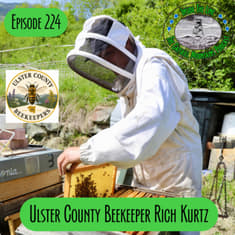 Episode 224 - Ulster County Beekeeper Rich Kurtz