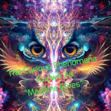 The Curious Phenomena Known As "Machine Elves"...