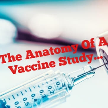 The Anatomy Of A Vaccine Study...