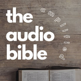 Audio Bible Update 2025