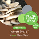 I funghi (parte 1) – con Carlo Marin