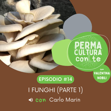 I funghi (parte 1) – con Carlo Marin
