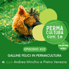 Galline felici in permacultura – con Andrea Minchio e Pietro Venezia
