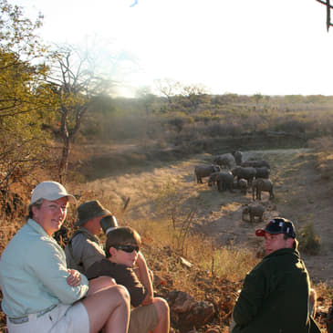 Part 1: Zimbabwe Game Count SPECIAL EPISODE