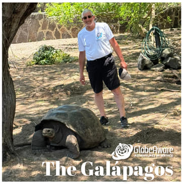 Giving Back in Paradise: Your Ultimate Galapagos Volunteer Guide