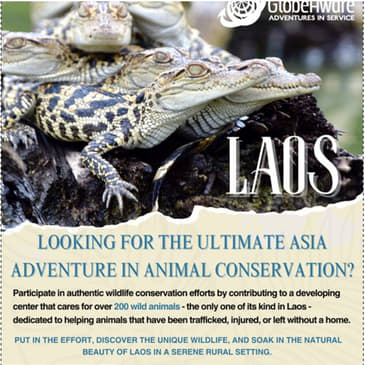 Saving Wildlife, Supporting Communities: Volunteering in Laos