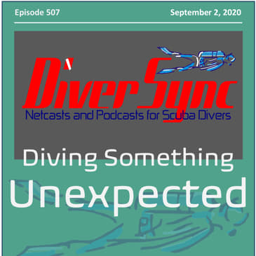 Diving Something Unexpected