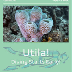 Utila, Honduras and the Rush into March and the dive season