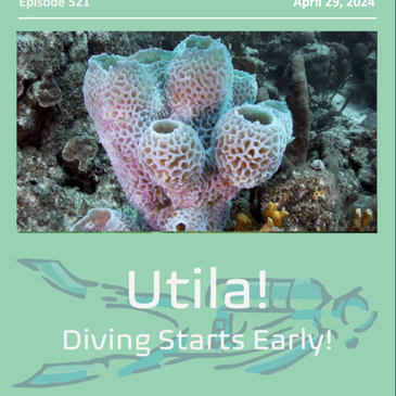 Utila, Honduras and the Rush into March and the dive season