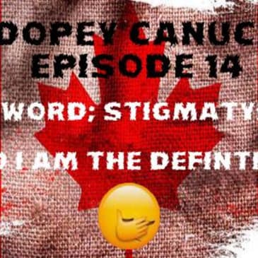 14- NEW WORD;STIGMATYPING, AND I AM IT ... addiction, recovery, overdose, #stopthestigma, true crime, funny