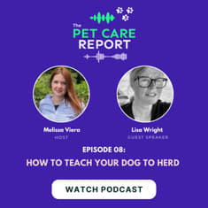 Lisa Wright: How to Teach Your Dog to Herd | E8