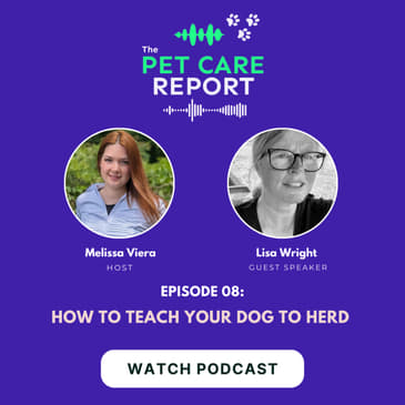 Lisa Wright: How to Teach Your Dog to Herd | E8
