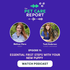 Teoti Anderson: Essential First Steps with Your New Puppy | E11