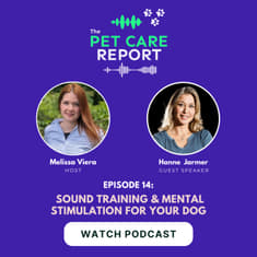 Hanne Jarmer (Founder of Go Dogo) Sound Training & Mental Stimulation For Your Dog | 14