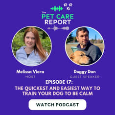 Doggy Dan: The Quickest and Easiest Way To Train Your Dog To Be Calm | E17