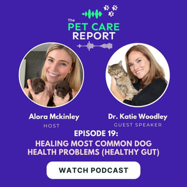Dr Katie Woodley: Healing Most Common Dog Health Problems (Healthy Gut) | E19