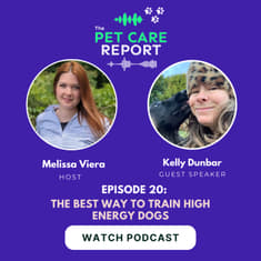 Kelly Dunbar: The Best Way To Train High Energy Dogs | E20
