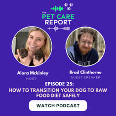 Brad Clinthorne: How to Transition Your Dog To Raw Food Diet Safely | E25