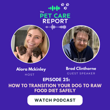 Brad Clinthorne: How to Transition Your Dog To Raw Food Diet Safely | E25