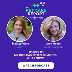 Judy Moore: My Dog Has Bitten Someone. What Now? | E36