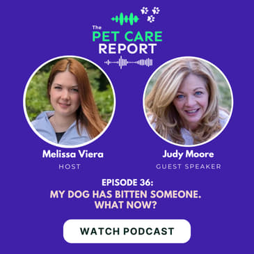 Judy Moore: My Dog Has Bitten Someone. What Now? | E36