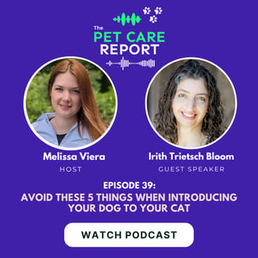 Irith Bloom: Avoid These 5 Things When Introducing Your Dog To Your Cat | E39