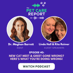 Linda Hall & Rita Reimers: NEW Cat Meet & Greet Gone Wrong? Here's What You're Doing WRONG! | E40