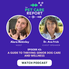 Dr. Ava Frick: A Guide to Thriving Senior Dog Care and Wellness| E43