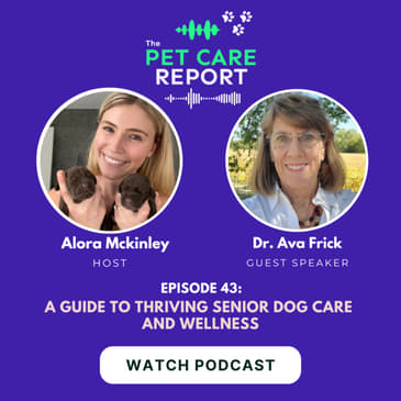 Dr. Ava Frick: A Guide to Thriving Senior Dog Care and Wellness| E43