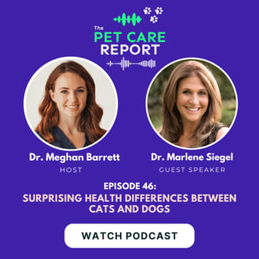 Dr. Marlene Siegel: Surprising Health Differences Between Cats and Dogs| E46
