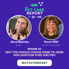 Donna Wild: Why You Should Choose Home-to-Home Dog Adoption Over Shelters| E47